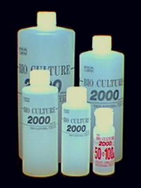 －ＢＩＯ　ＣＵＬＴＵＲＥ－　バイオカルチャー２０００
