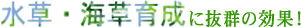 水草・海草育成に抜群の効果！