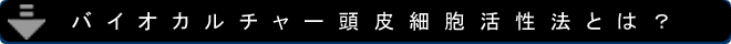 ͂ō쐬ărWlXn߂NƉƁErngnEocҗl