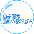 ̉a̐H