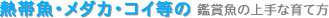 MыE_JERC̊ӏ܋̏Ȉĕ