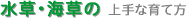 EC̏Ȉĕ